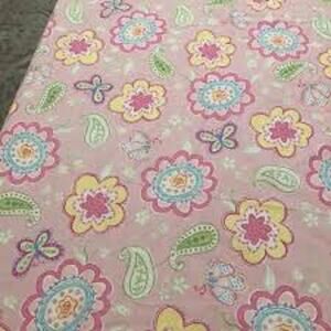 POTTERY BARN Kids Samantha DUVET Cover Pink Butterfly Paisley TWIN